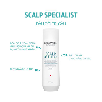 Dầu Gội Sạch Gàu Goldwell Scalp Specialist Làm Sạch Sâu, Giảm Ngứa, Ngăn Ngừa Gàu Quay Trở Lại 250ml