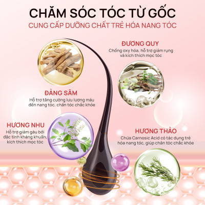 Dầu gội thảo dược Fresh Shampoo giảm rụng tóc, giảm gàu, nuôi dưỡng tóc mềm mượt và chắc khỏe từ gốc 500ml