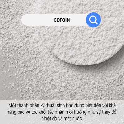 Dầu Gội Chống Rụng & Kích Thích Mọc Tóc Goldwell Kerasilk Redensifying