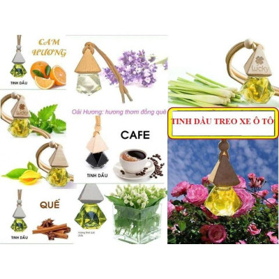 Tinh Dầu Treo Xe Oto Treo tủ quần áo Nhiều Mùi Hương Khử Mùi Lọc Không khí thoáng mát