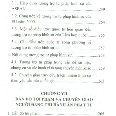 Luật Hình Sự Quốc Tế (Sách chuyên khảo)