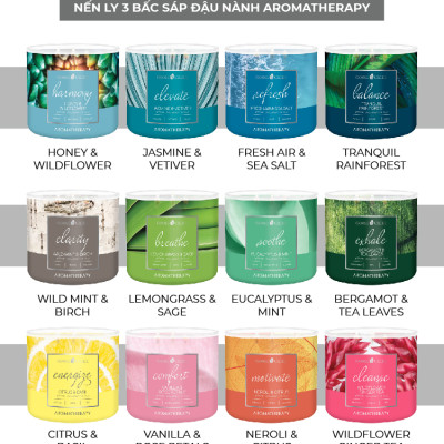 Nến ly 3 bấc Aromatherapy Goose Creek (411g) - Honey & Wildflower