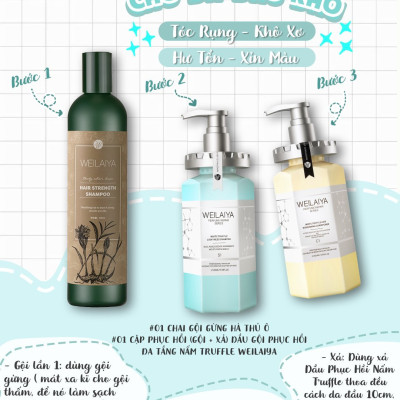 Combo Dầu gội xả phục hồi đa tầng nấm Truffle Weilaiya hương nước hoa và Dầu gội gừng hà thủ ô Weilaiya 400ml 