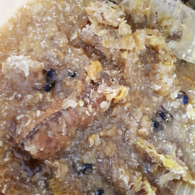 Mật ong rừng đặc sản Kon Tum nguyên chất (1lít))