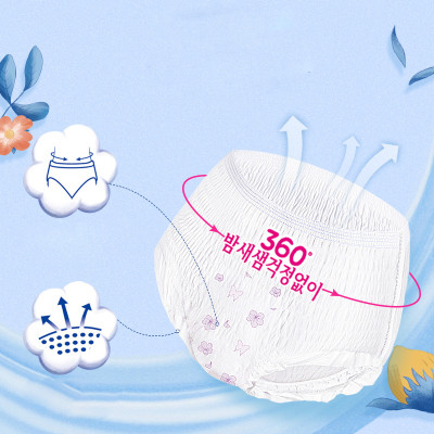 Băng vệ sinh dạng quần chống tràn 360 độ Artemisia Hàn Quốc (Gói 5 cái - Size L-XL)