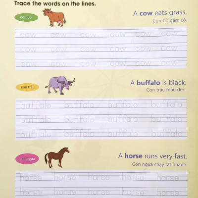 Tập Viết Tiếng Anh Cho Trẻ - Động Vật