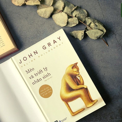 Sách - Mèo và triết lý nhân sinh - 1980Books