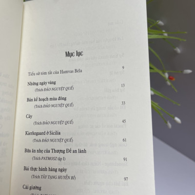 NHỮNG NGÀY VÀNG (Tập tiểu luận chọn lọc dịch từ nguyên bản tiếng Hungary) – dịch giả Hamvas Béla Nguyễn Hồng Nhung – NXB Tri Thức