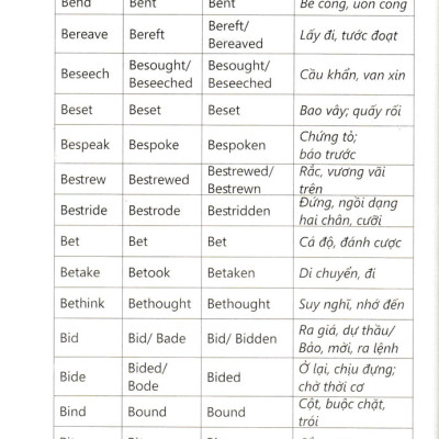 Chinh Phục Từ Vựng Và Ngữ Pháp Tiếng Anh (Dành Cho Người Mới Bắt Đầu - Sbooks) 