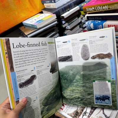 Sách - Dinosaurs A Children