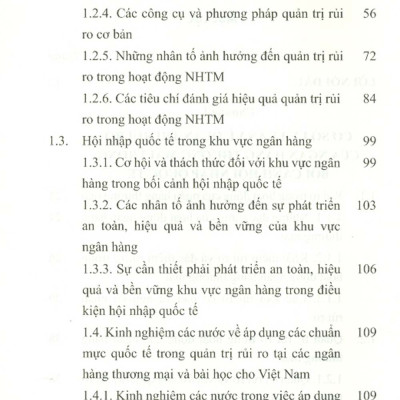Quản Trị Rủi Ro Tại Các Ngân Hàng Thương Mại Việt Nam Trong Bối Cảnh Hội Nhập Quốc Tế