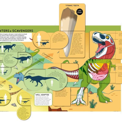 Lift The Flaps: Dinosaurs