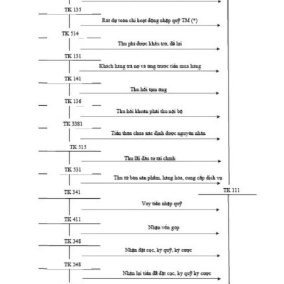 Hướng Dẫn Thực Hành 161 Sơ Đồ Kế Toán Hành Chính, Sự Nghiệp (Theo Thông Tư Số:24/2024/TT-BTC)