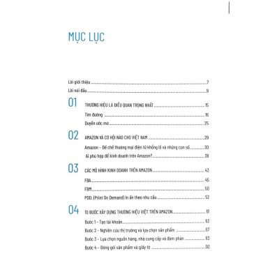 Sách 10 Bước Xây Dựng Thành Công Thương Hiệu Việt Trên Amazon - Alphabooks - BẢN QUYỀN