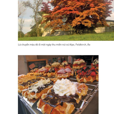 Ngón Tay Mình Còn Thơm Mùi Oải Hương