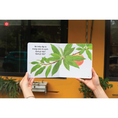 Sách Ehon Ú òa - Cho trẻ 0 - 6 tuổi - Combo 3 Cuốn - Đinh Tị Books