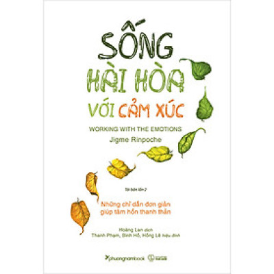 Sống Hài Hòa Với Cảm Xúc (Tái bản năm 2025)