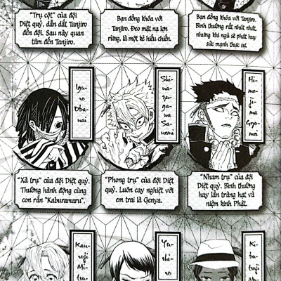 Sách - Thanh Gươm Diệt Quỷ - Kimetsu No Yaiba - Tập 23 - Vượt Qua Tháng Năm, Sinh Mệnh Tỏa Rạng (Tái Bản 2025)