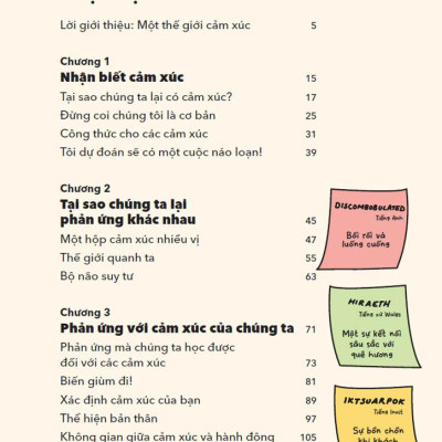 Sách - A Toolkit For Your Emotions - Khai Mở Cảm Xúc