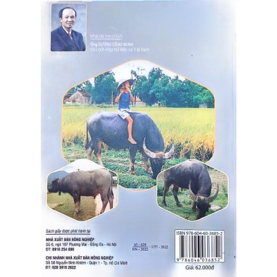 Sách - Cách Nuôi Trâu - NXB Nông Nghiệp