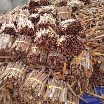 Hương nhang Quế Dương Minh nhang sạch 100% thành phần organic nhang thơm tự nhiên không hóa chất nhang cây an toàn