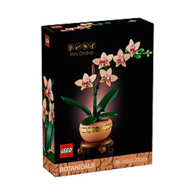 LEGO BOTANICALS 10343 Đồ Chơi Lắp Ráp Hoa Lan Nhỏ (274 Chi Tiết)