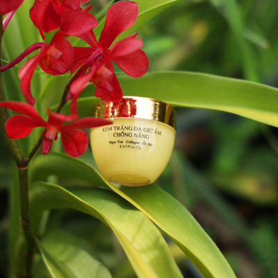 Kem Trắng Da Giữ Ẩm Chống Nắng 15g Sắc Tiên Today (hộp đen)