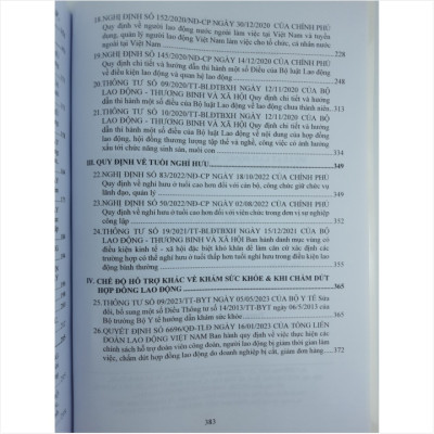 Sách Bộ Luật Lao Động - Mẫu Hợp Đồng Lao Động - Chế Độ Chính Sách Tiền Lương, Tiền Thưởng - V2240D