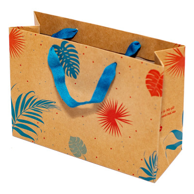 TÚI KRAFT NGANG TRUNG KN005 - 23 X 17 X 8 CM - NGẪU NHIÊN