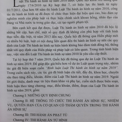 Bình luận Luật Thi Hành Án Hình Sự Năm 2019
