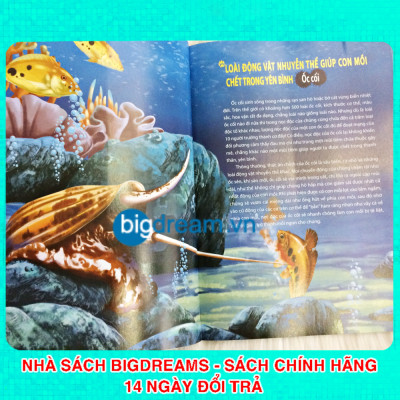 Khám Phá Thế Giới Động Vật Kì Thú - Thế giới của những loài động vật sát thủ - Kiến thức bách khoa cho trẻ