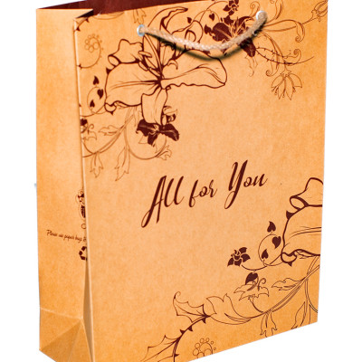 TÚI KRAFT KN210 - 32X25X9.5 CM - NGẪU NHIÊN