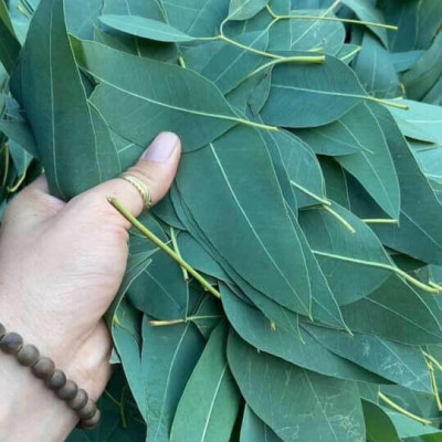 Nhang sạch Dương Minh hộp 180cây 30cm 100% thành phần tự nhiên hương nhang dịu nhẹ ít khói dùng thờ cúng thắp hương, thư giãn, thanh lọc không khí