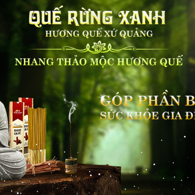 Combo 3 hộp nhang Quế Rừng Xanh - Quế nguyên chất, hương quế rừng tự nhiên, thanh lọc không khí, không gây độc hại đến sức khỏe, giúp tin thần thoải mái - 100% nguyên chất - Hàng chính hãng 