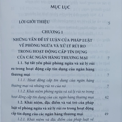Pháp luật về phòng ngừa và xử lý rủi ro trong hoạt động cấp tín dụng của các ngân hàng thương mại ở Việt Nam