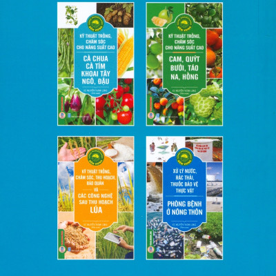 Kỹ Thuật Trồng, Chăm Sóc Cho Năng Suất Cao: Cà Chua, Cà Tím, Khoai Tây, Ngô, Đậu (Tái bản 2024)
