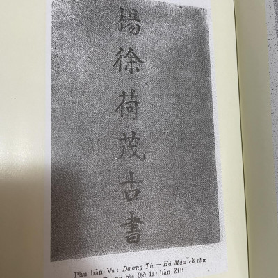 NGUYỄN ĐÌNH CHIỂU - DANH NHÂN VĂN HOÁ THẾ GIỚI (BÌA CỨNG)