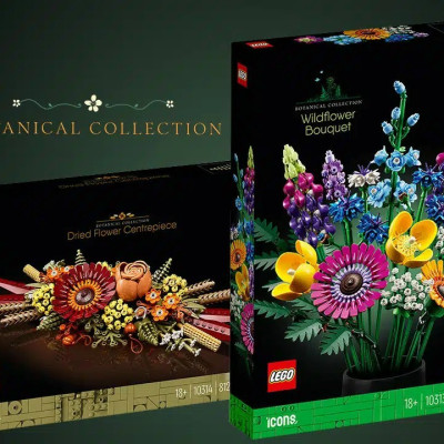 LEGO - ICONS - 10314 - Hoa Khô Trang Trí (812 chi tiết)