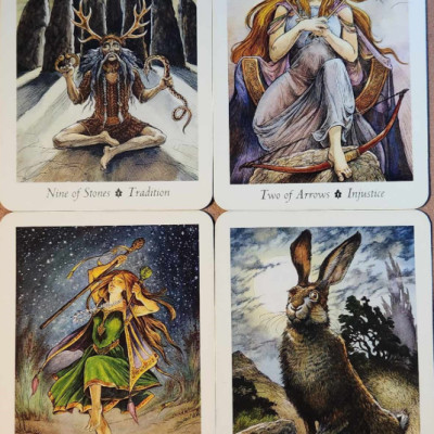 Bộ bài Wildwood ta rot