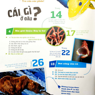 Thế Nào Và Tại Sao - Các Loài Cá - Thế Giới Diệu Kì Dưới Nước - Bìa Cứng (Tái Bản 2023)