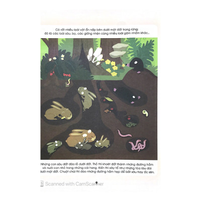 Từ Điển Khoa Học Của Bé - Bé Tập Khám Phá