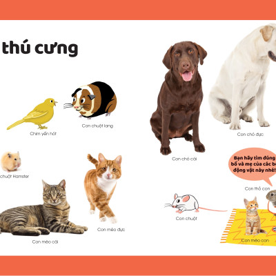 Sách - Khám Phá Đầu Tiên Của Tớ Về...Động Vật