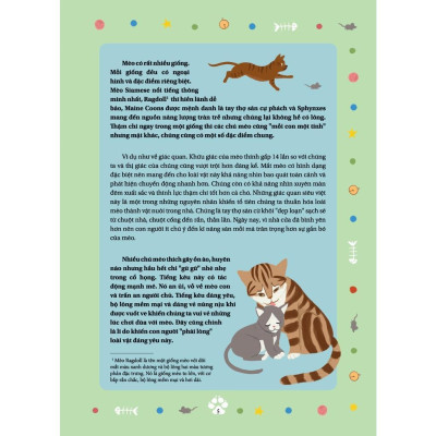 Sách - Câu Chuyện Về Loài Mèo - Penelope Rich - Tân Việt Books