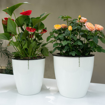 Chậu trồng cây tự tưới MONROVIA H0, chất liệu PP cao cấp, trồng hoa, cây cảnh, trang trí nhà cửa