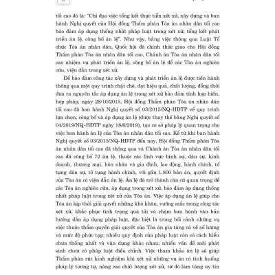 Án Lệ Việt Nam (Sách chuyên khảo, xuất bản lần thứ 2)