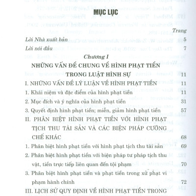 Hình Phạt Tiền Trong Pháp Luật Hình Sự Việt Nam Và Thực Tiễn Áp Dụng (Sách Chuyên Khảo)