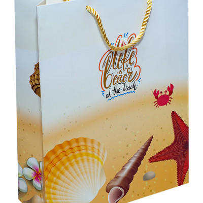 TÚI DÂY LỚN TT110 - 32 X26 X10 CM - NGẪU NHIÊN