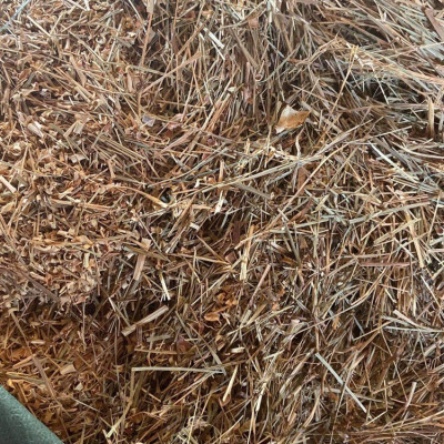 Hương nhang Cam Sả Dương Minh 180cây nhang 30cm nhang sạch 100% thành phần tự nhiên - nhang cây thắp cúng/xông nhà/đuổi muỗi, hương nhang thơm dịu nhẹ an toàn