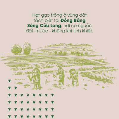 Gạo hữu cơ cao cấp/ECOBA Ngọc Mễ 1kg