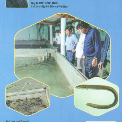 Cách Nuôi Cá Chình